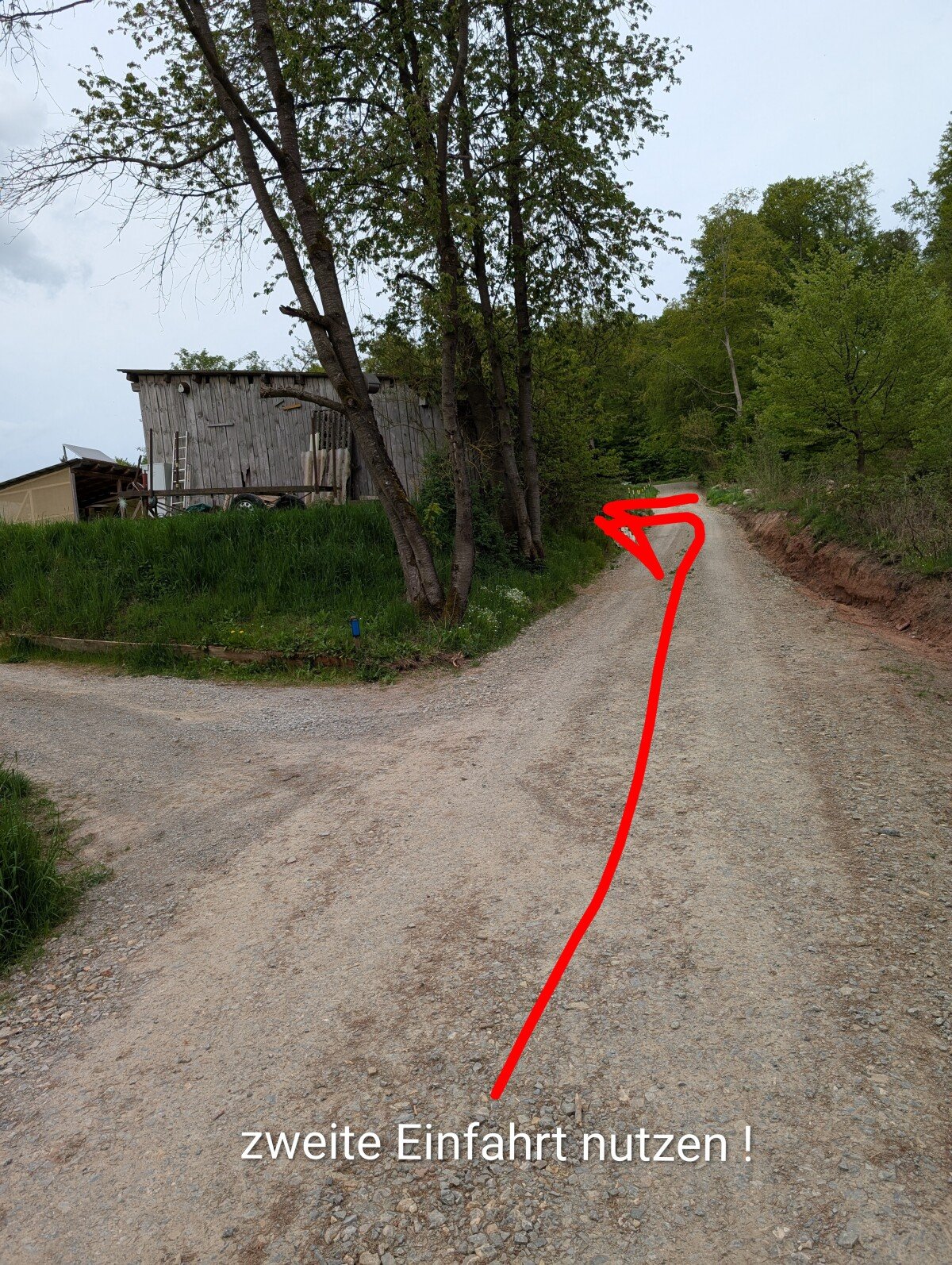 PXL_20260504_155131509~2.jpg