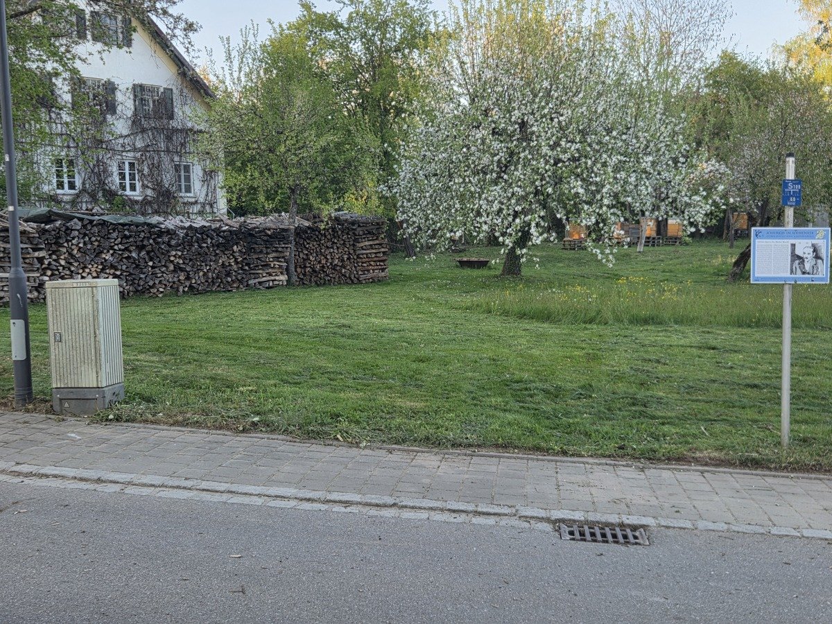 20260429_193700.jpg