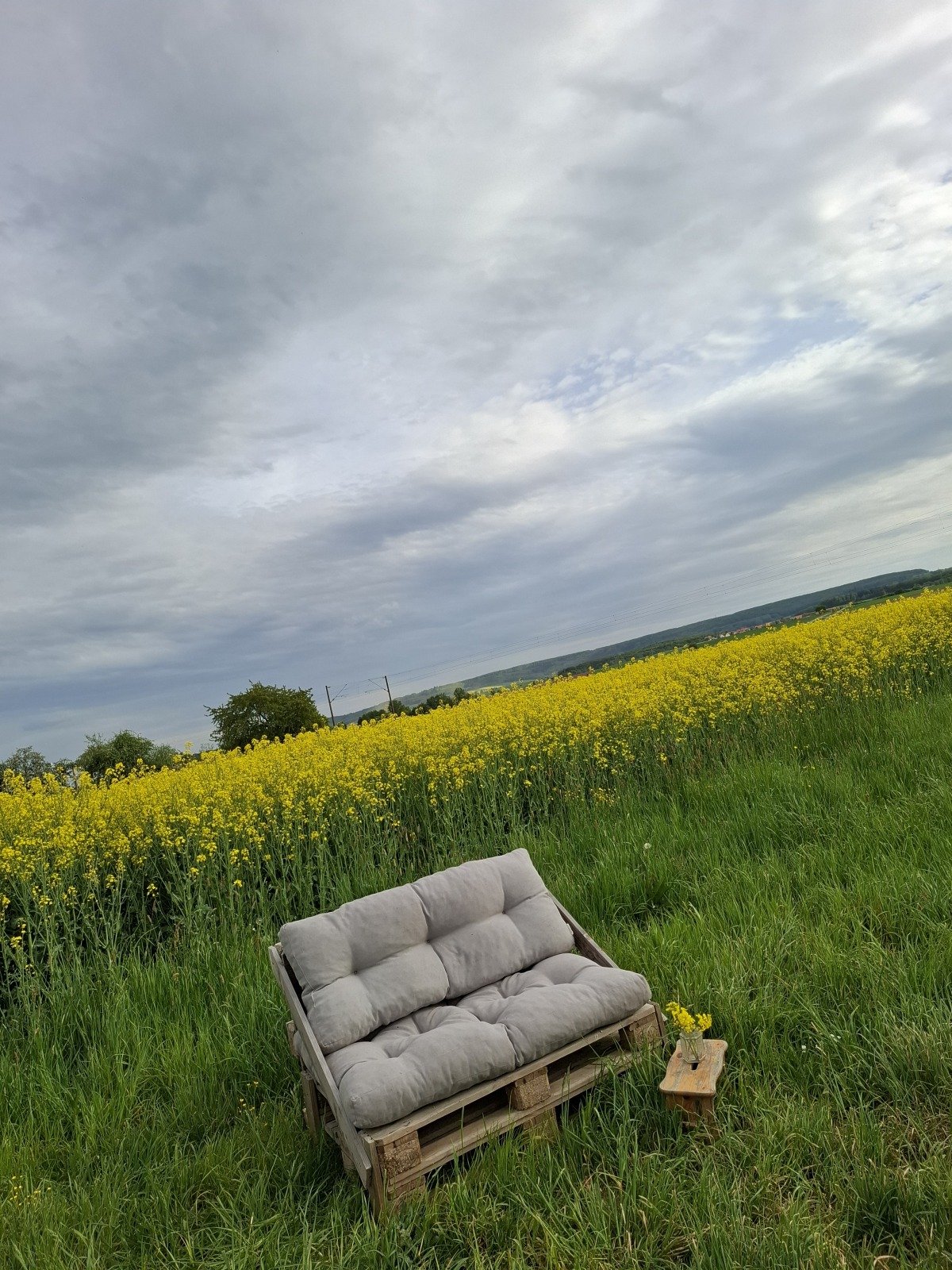 20260504_173950.jpg
