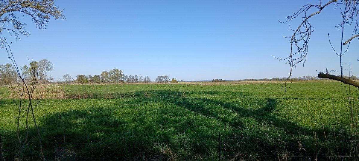 20260501_171043.jpg