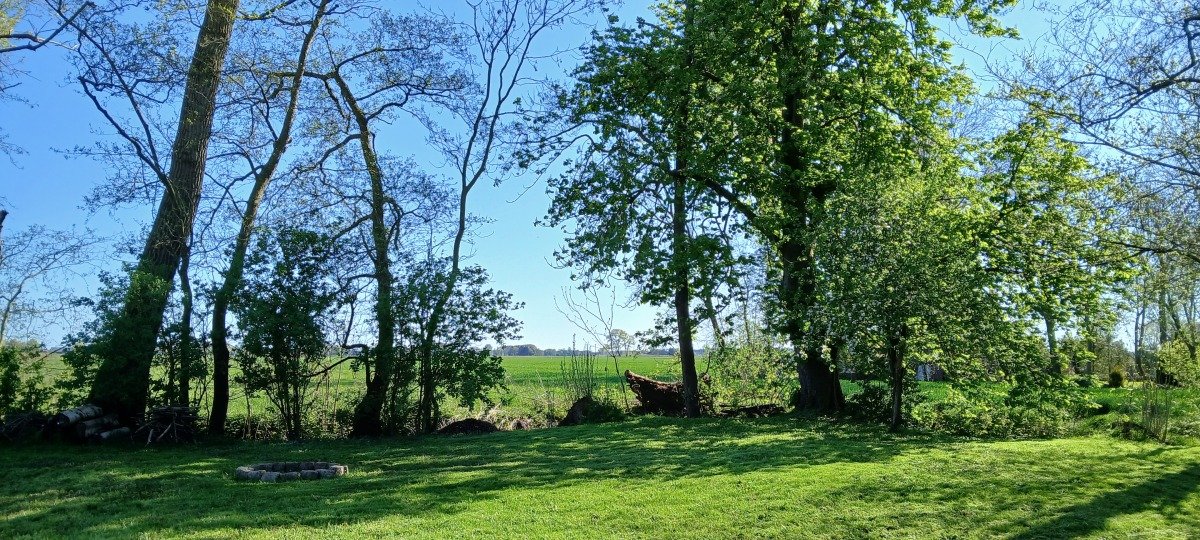 20260501_170447.jpg