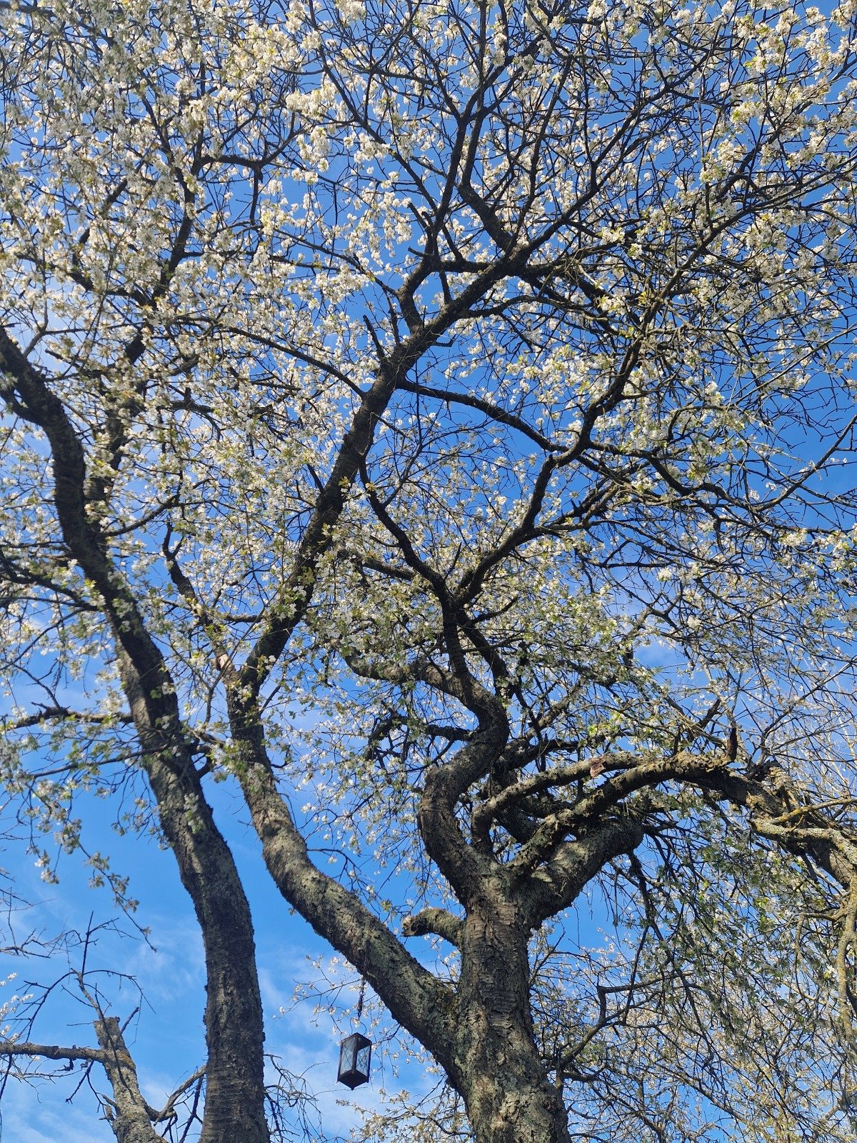 20260409_162247.jpg