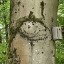 Birgit