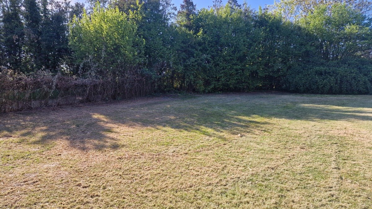 20260426_172413.jpg