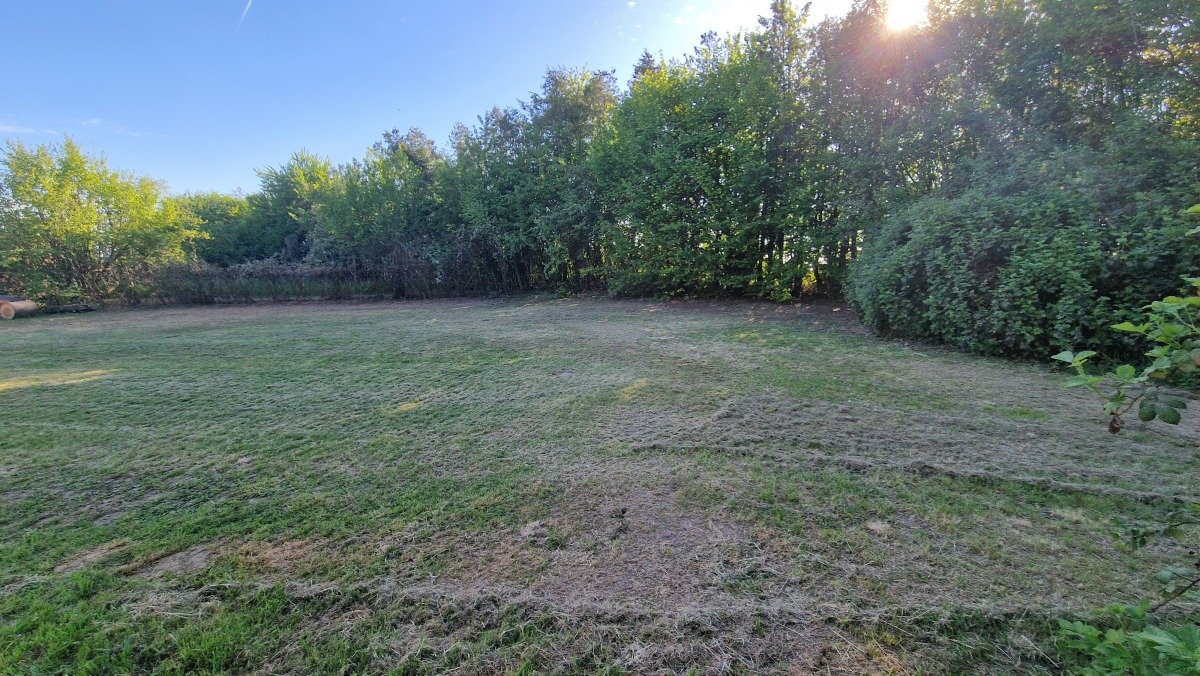 20260426_180428.jpg