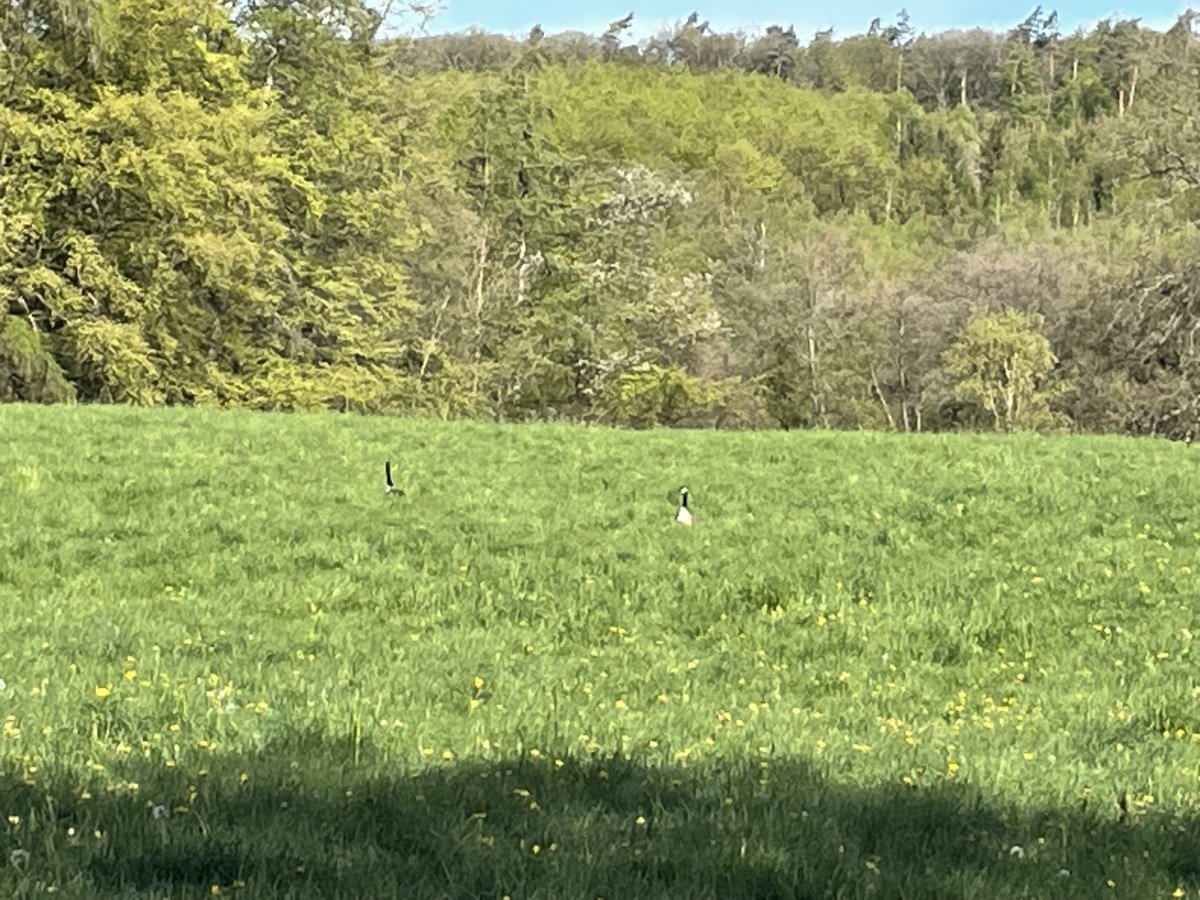 IMG_5403.jpeg