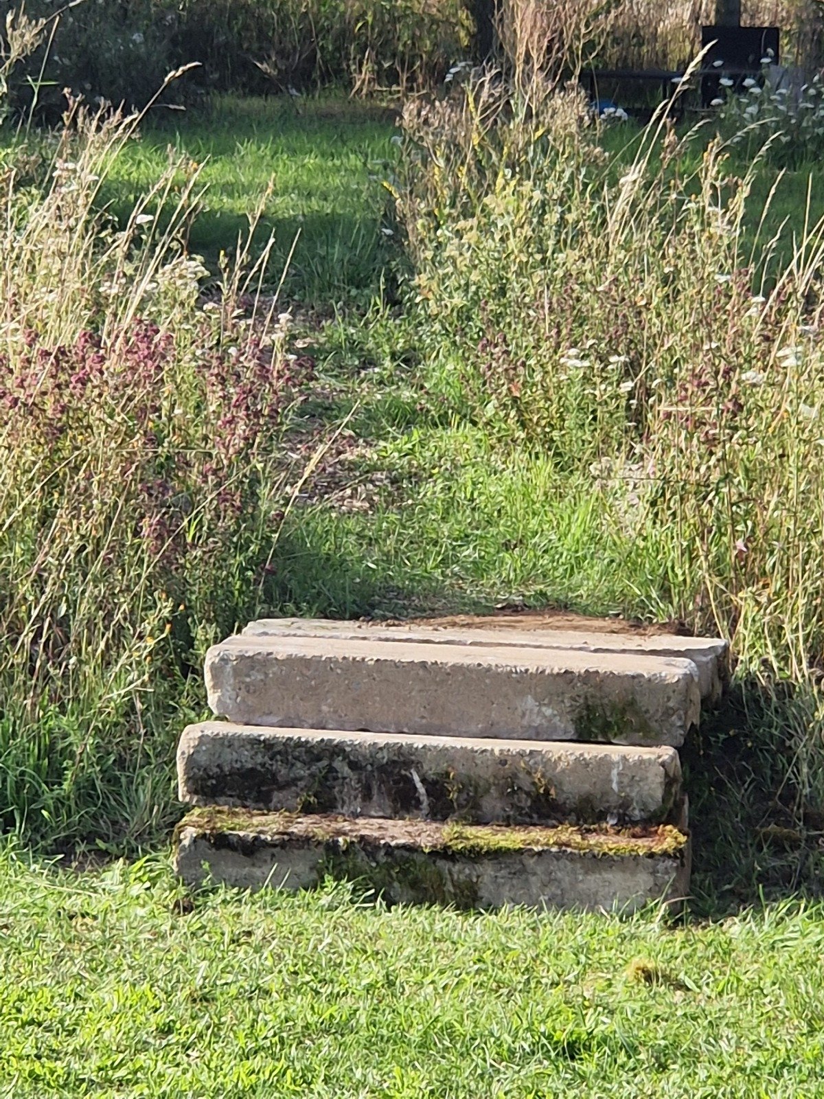 20250807_183746.jpg