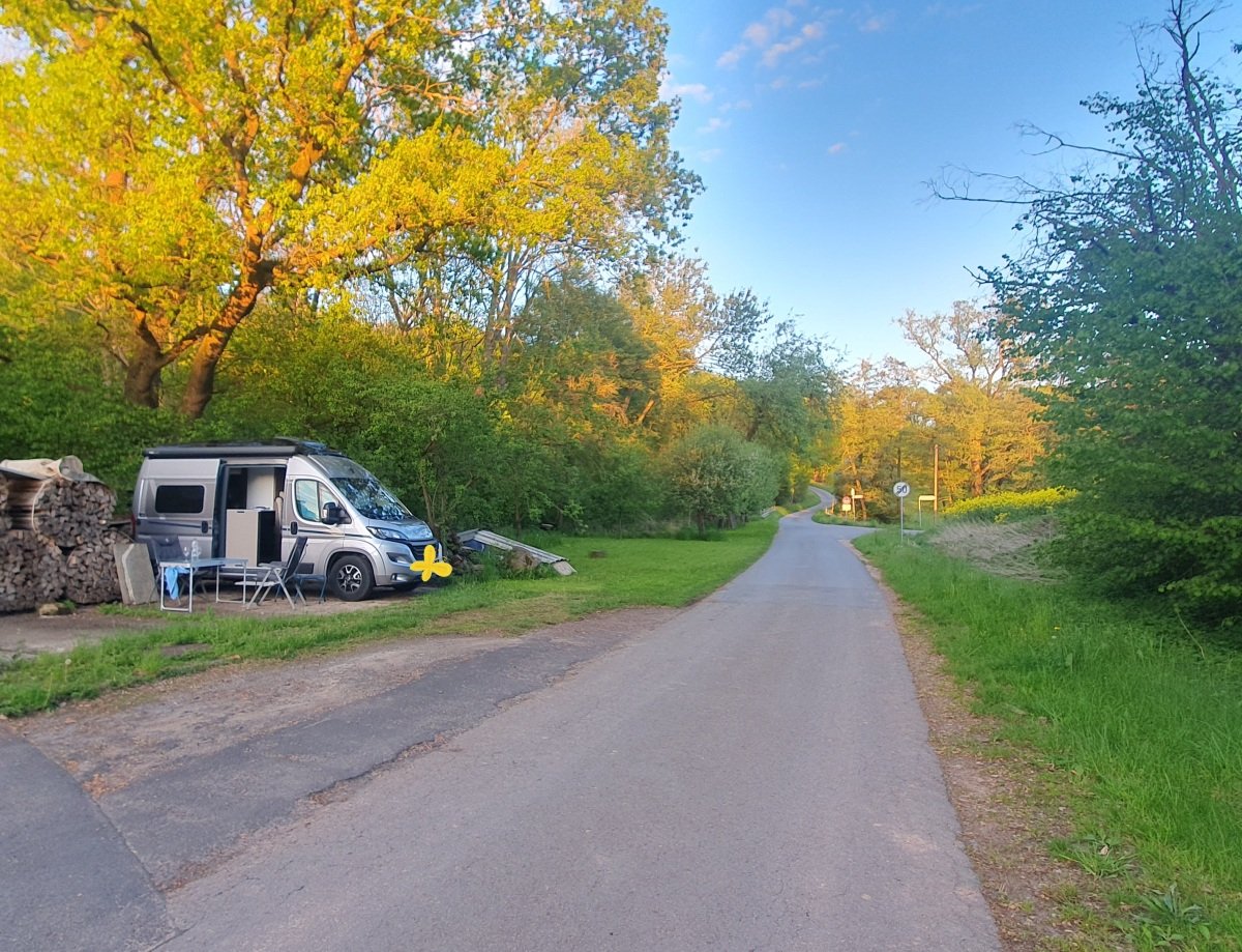 WolfhagenAmWald_Mai2026