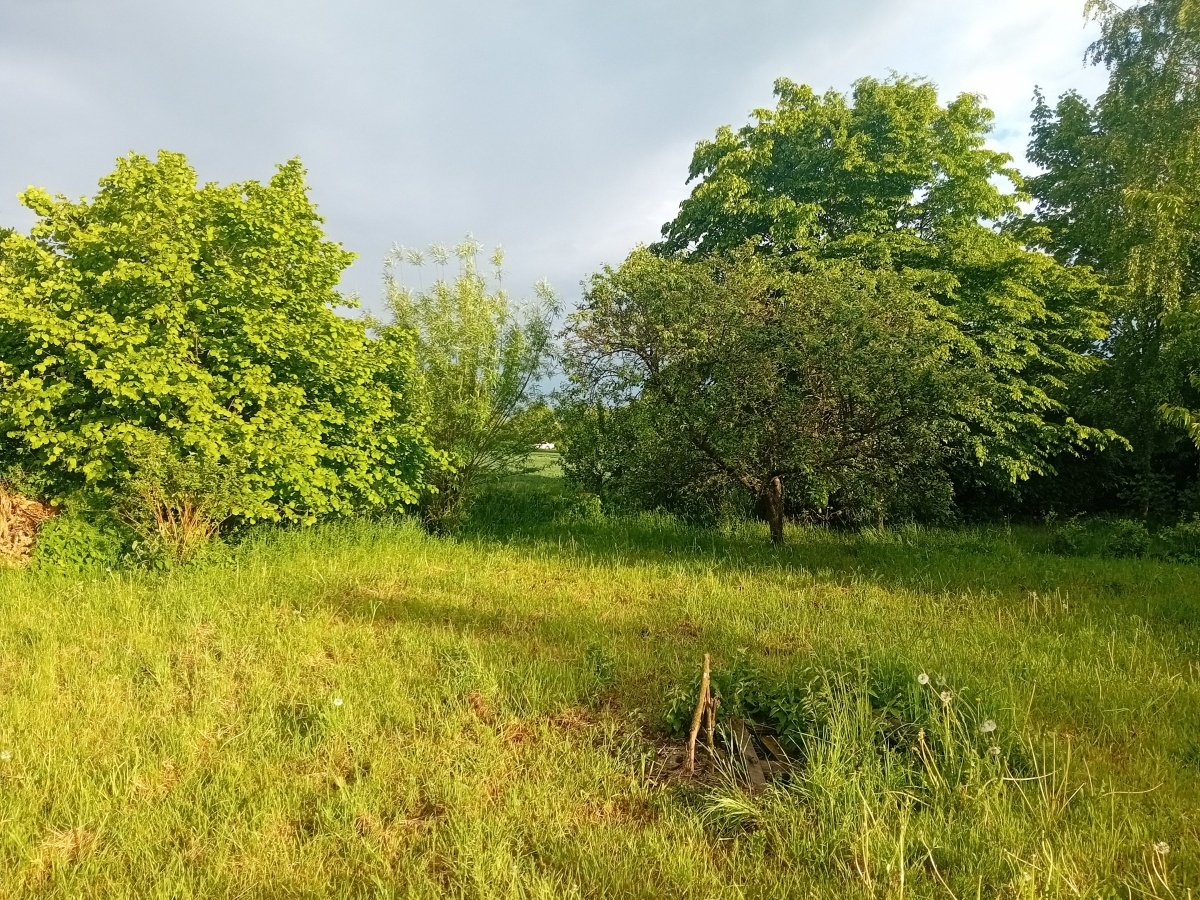 20260520_192302.jpg