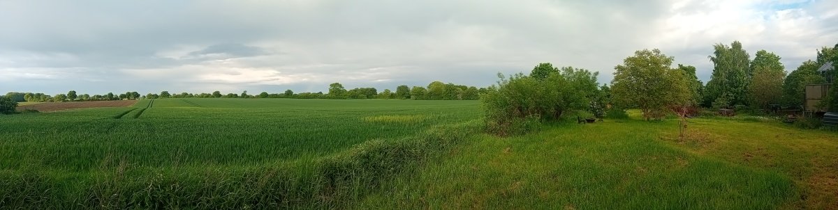 20260520_192630.jpg