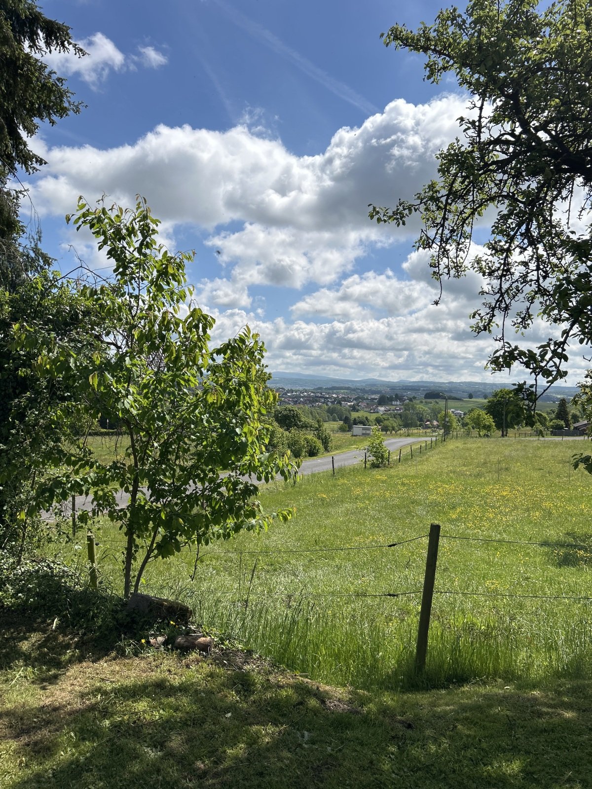 Ausblick.jpg