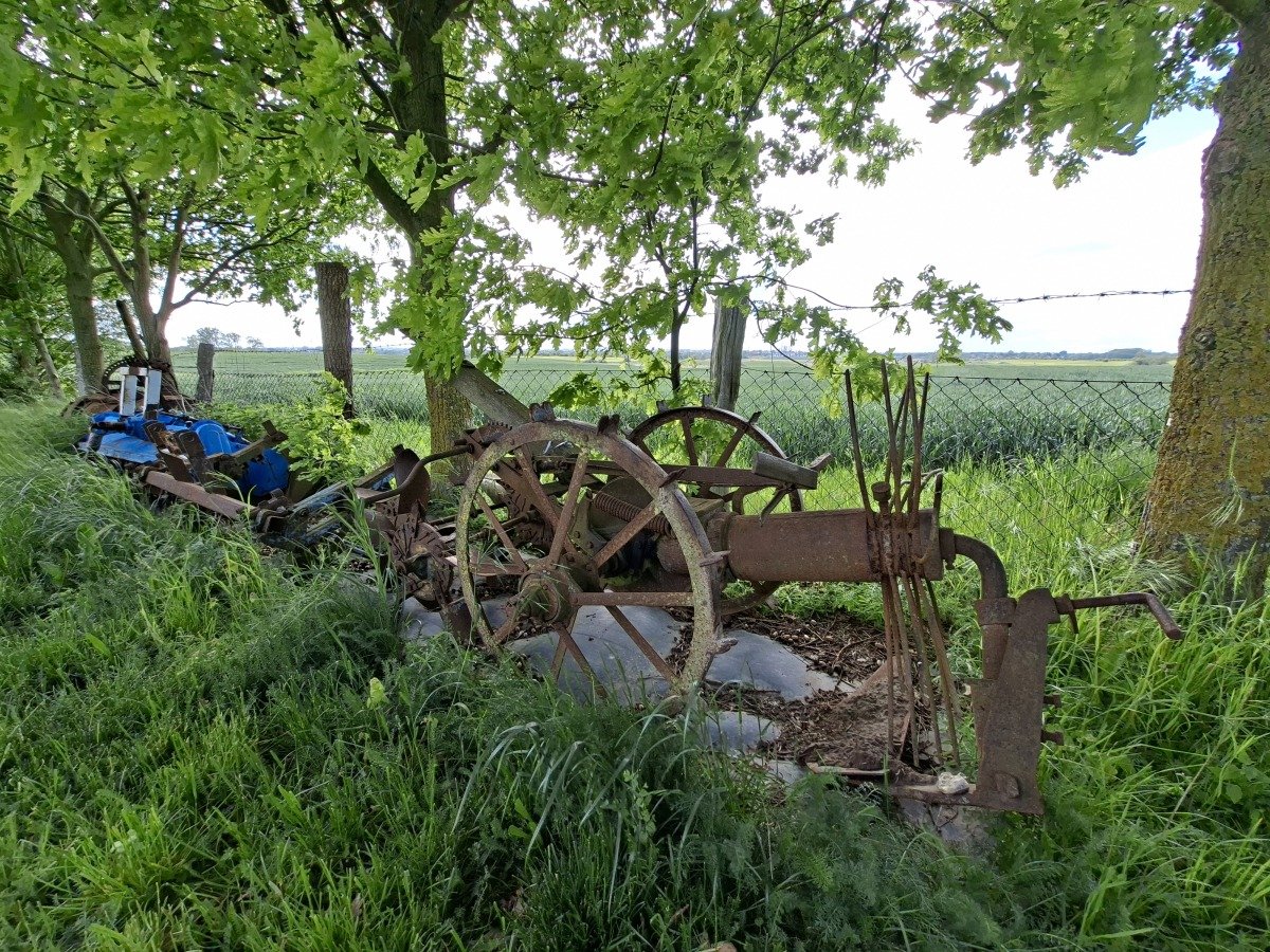 20260521_165403.jpg