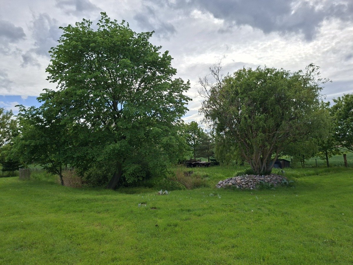 20260521_165014.jpg