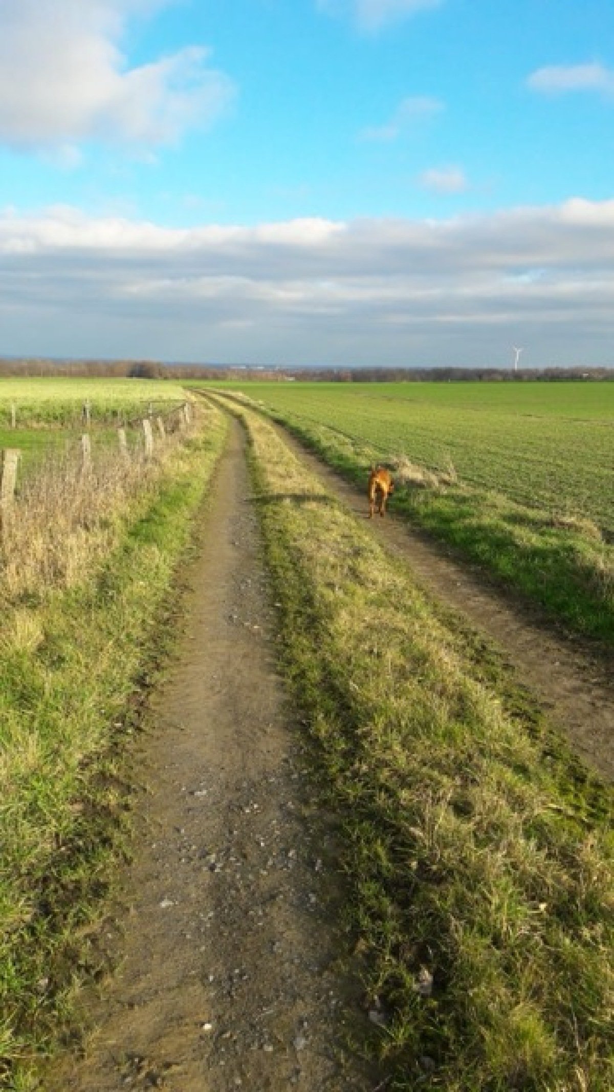 Mittel (PHOTO-2020-01-06-14-09-55).jpeg
