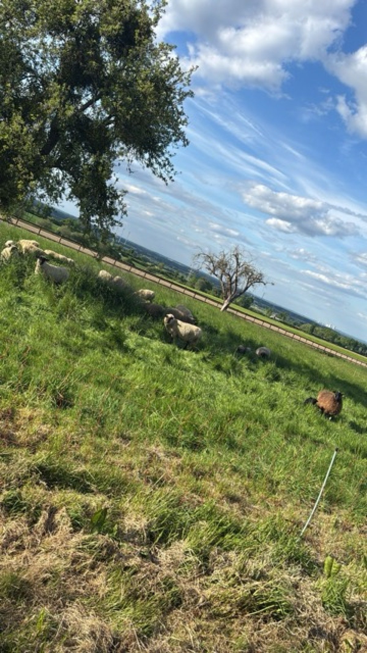 Mittel (PHOTO-2025-05-08-18-12-22).jpeg
