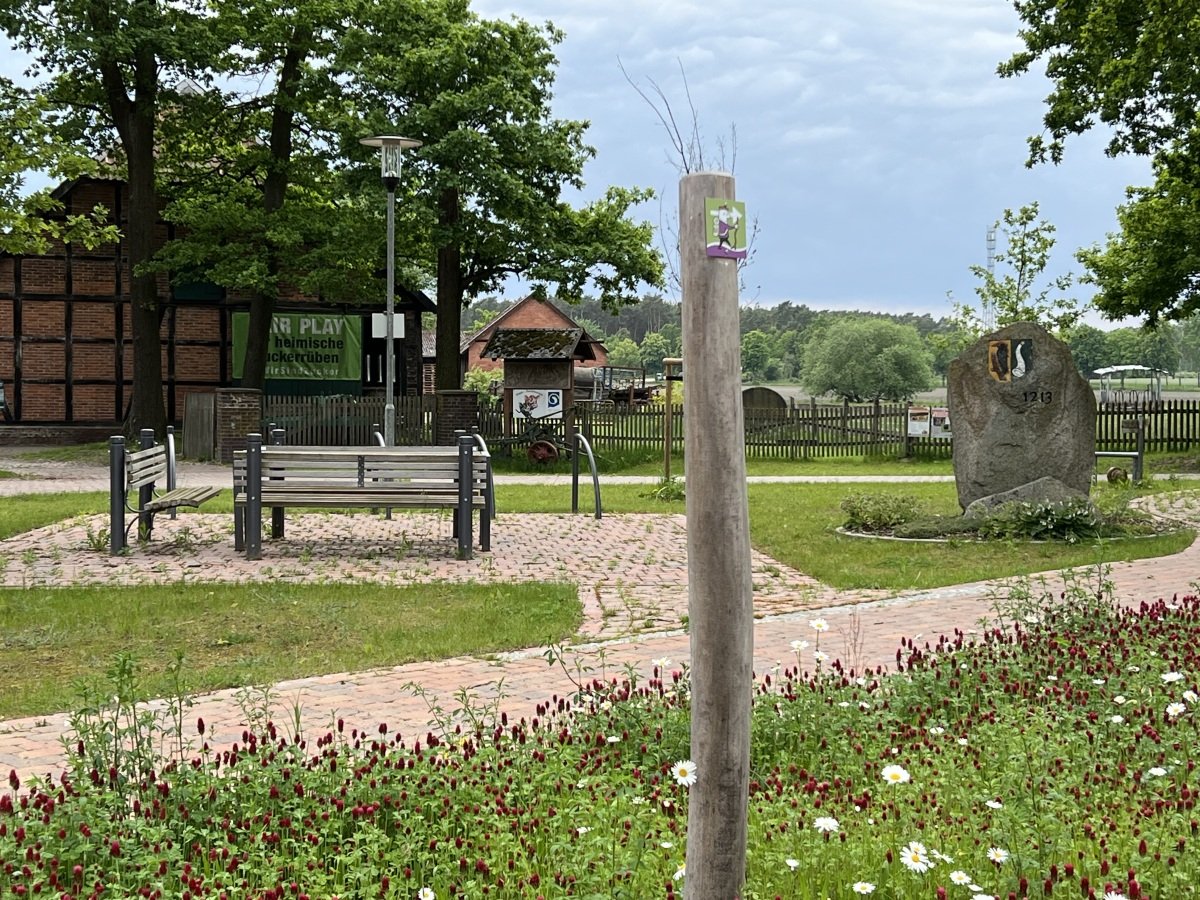 IMG_7348.jpeg