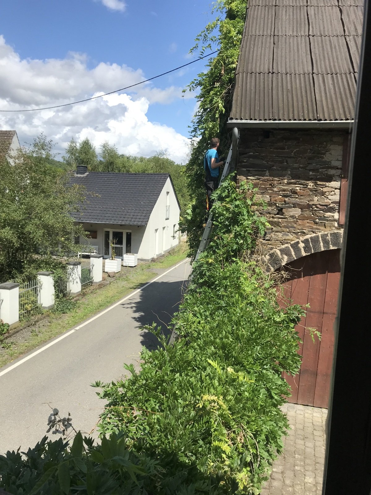 IMG_4170.jpeg
