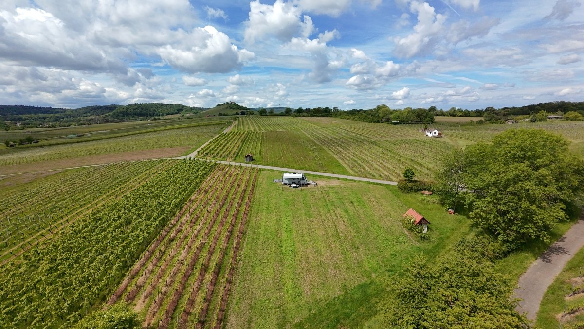 DJI_20260517110119_0015_D.JPG