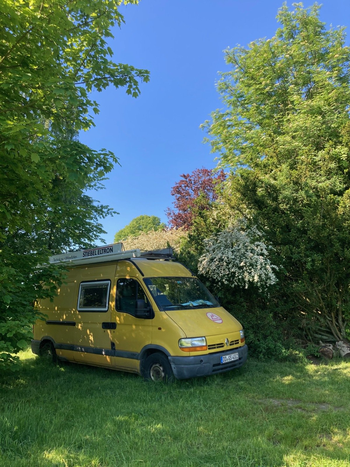 ...ein Sommer auf unserer Wiese!