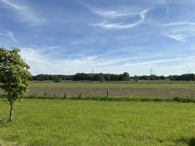 Weitblick