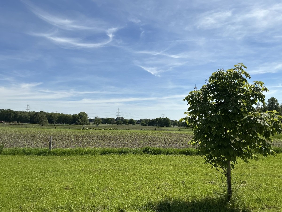 IMG_0006.jpeg