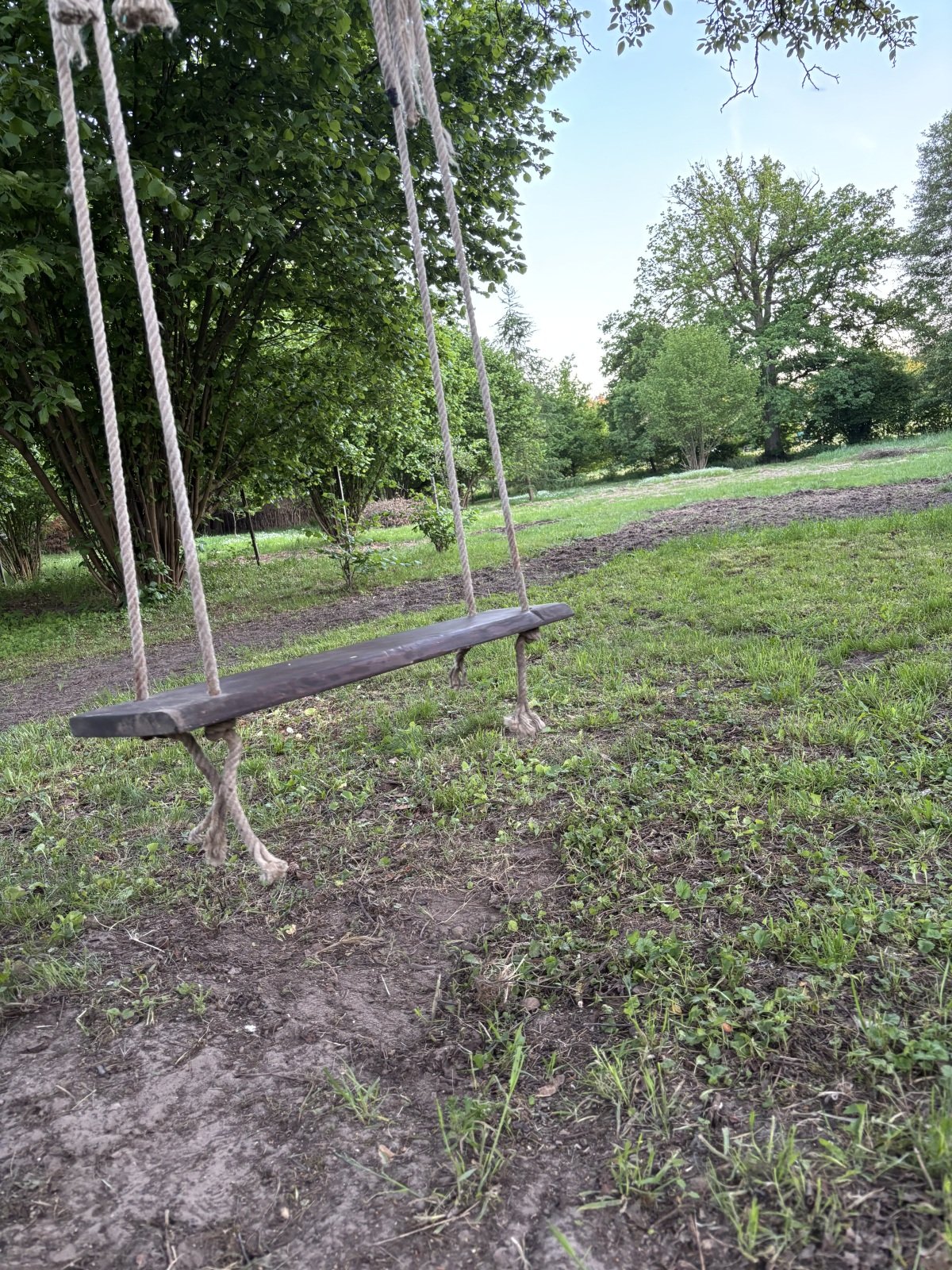 IMG_6669.jpeg