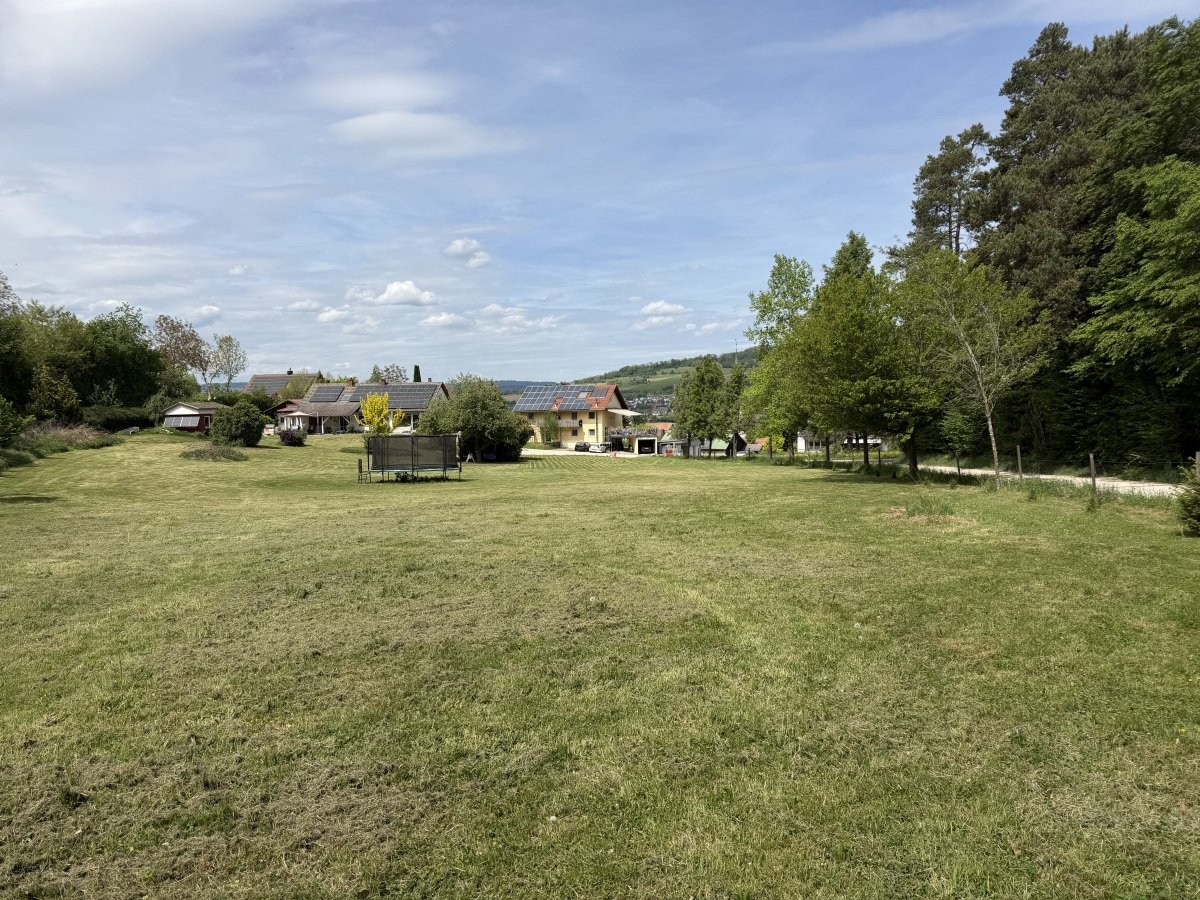 IMG_2714.jpeg