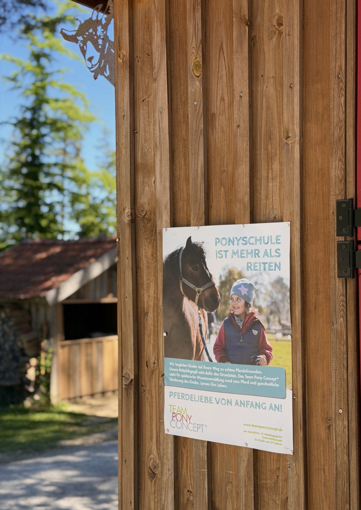Unsere Ponyschule