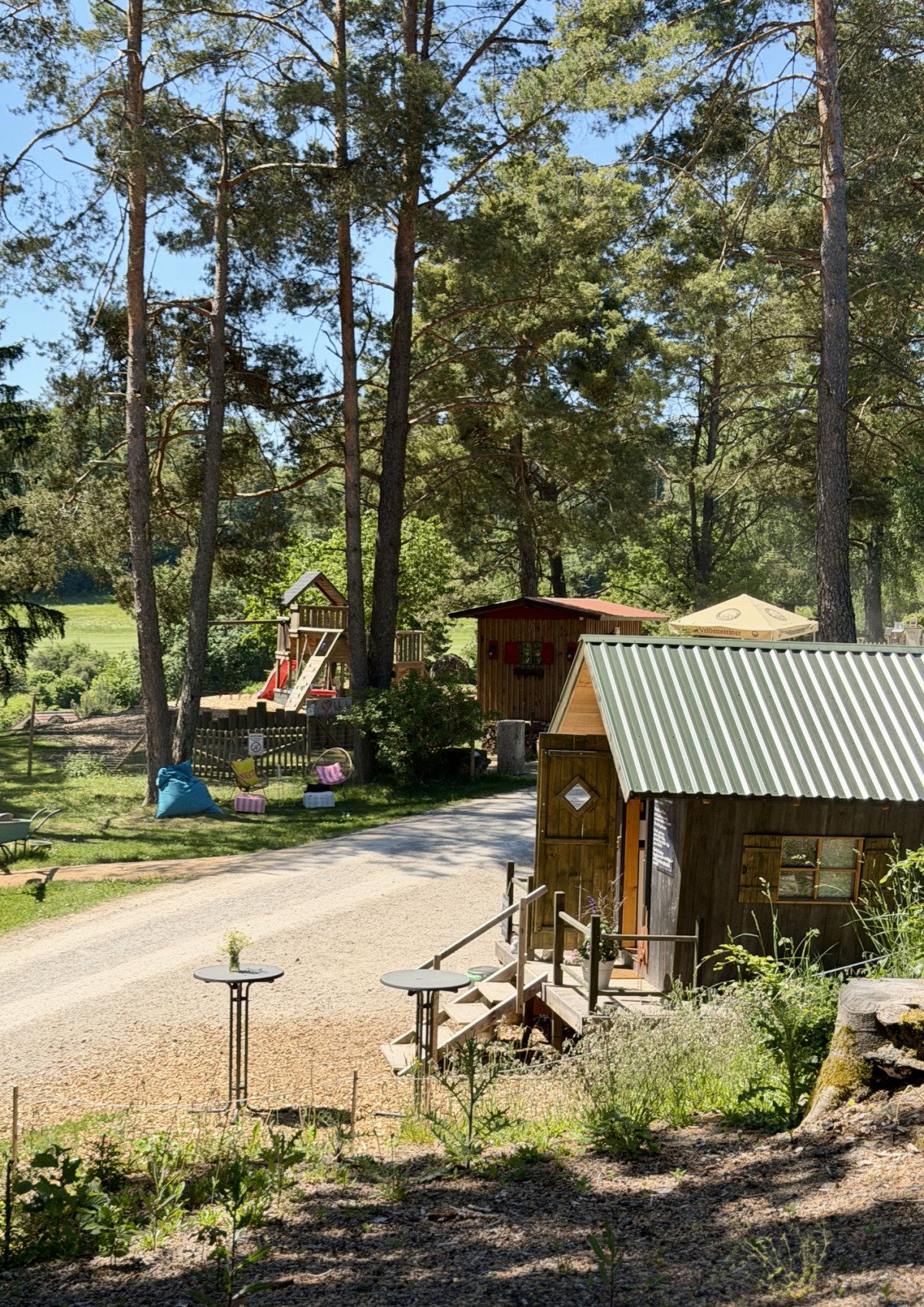 Hofbeginn