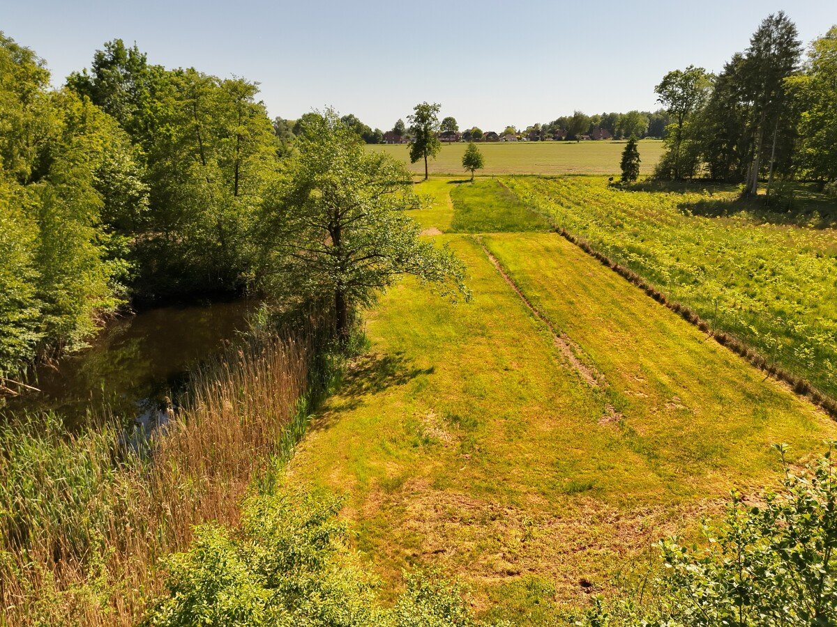 Die große Wiese 