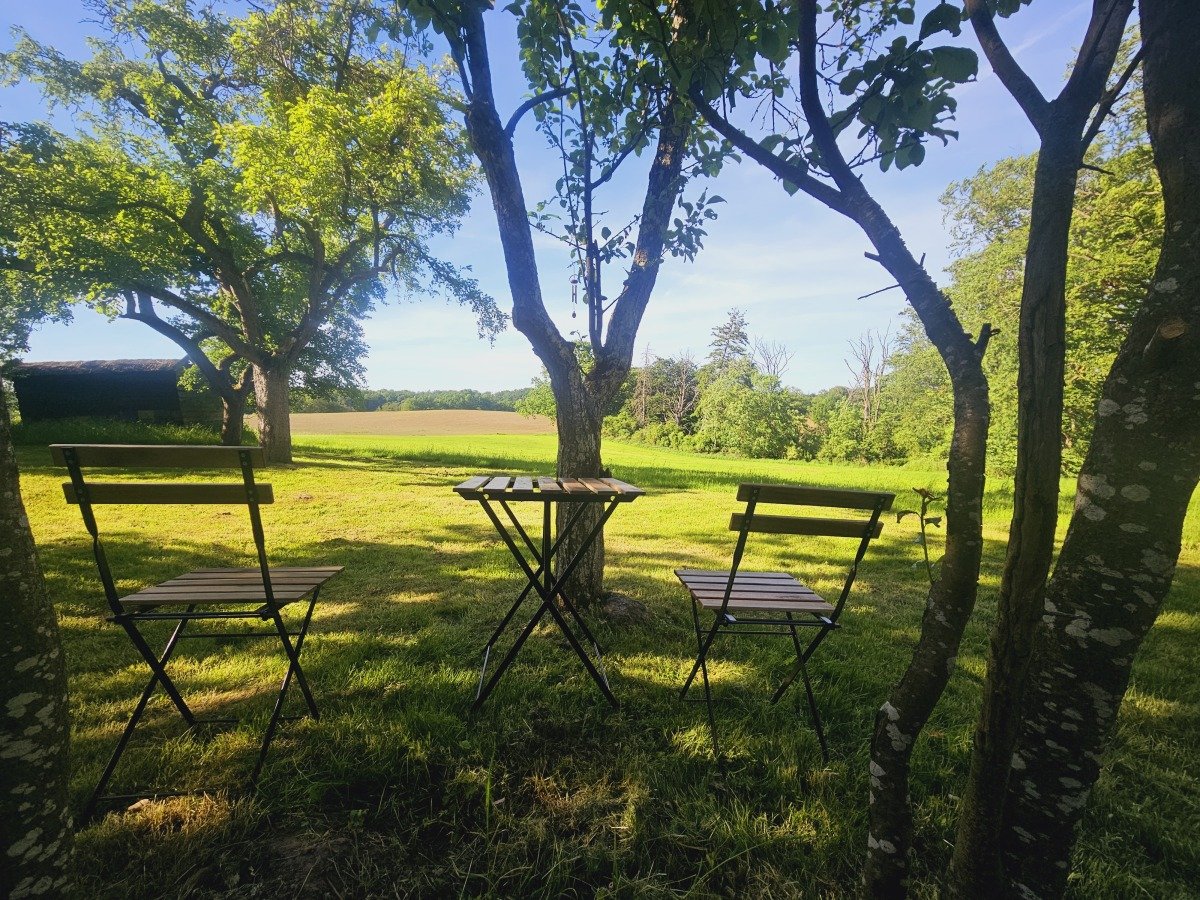 20260524_173919.jpg