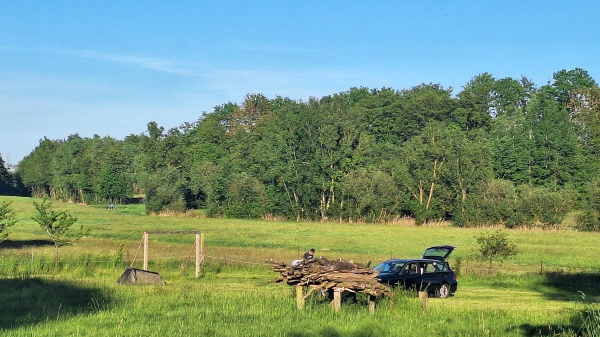 20260524_192910.jpg