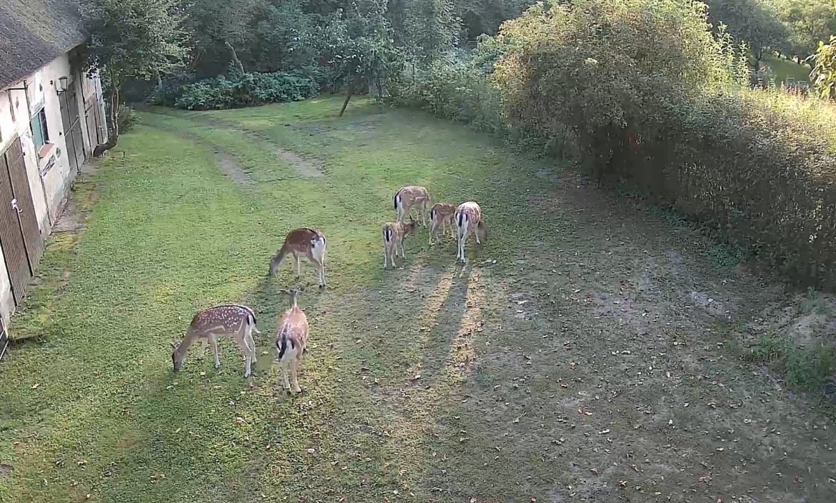 VideoCapture_20260529-113932.jpg