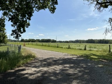 Weg zum Venn