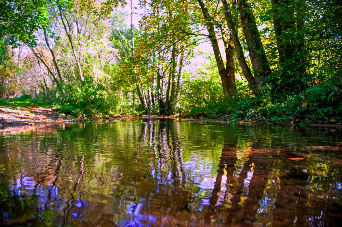 DSC_3905.JPG.jpg
