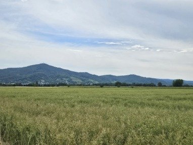 Aus der Region