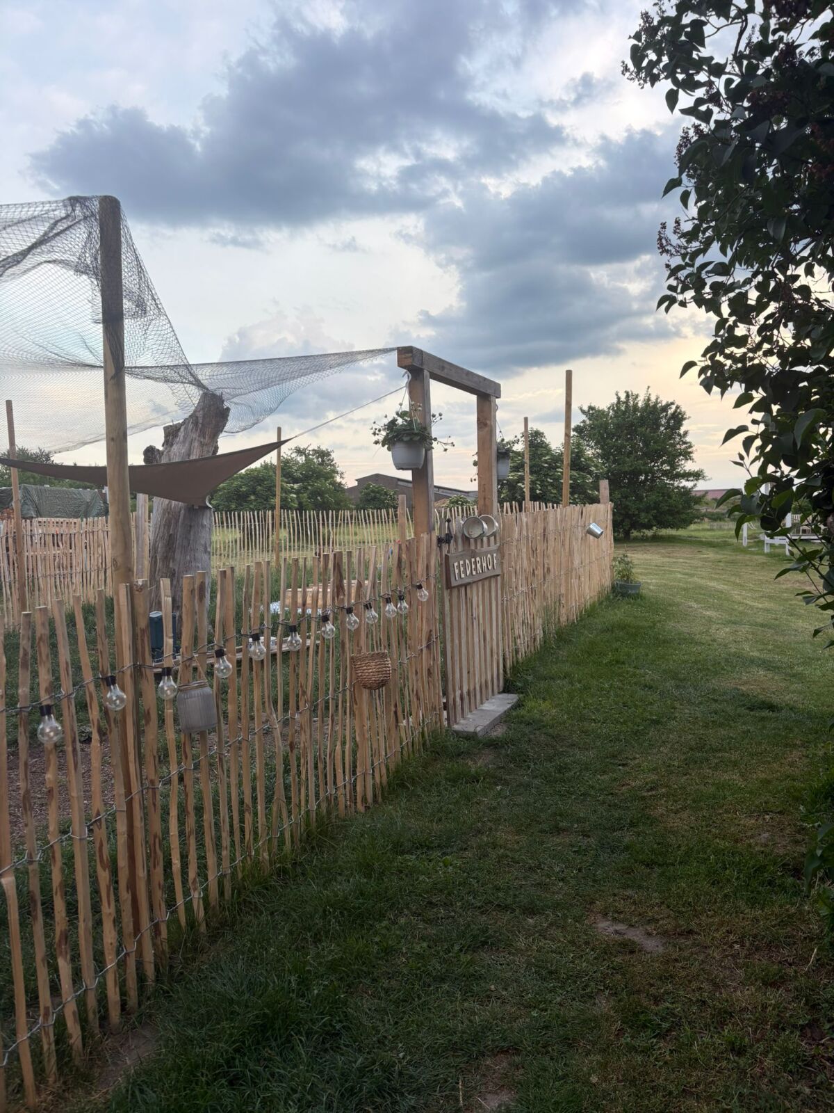Der Weg zur Wiese