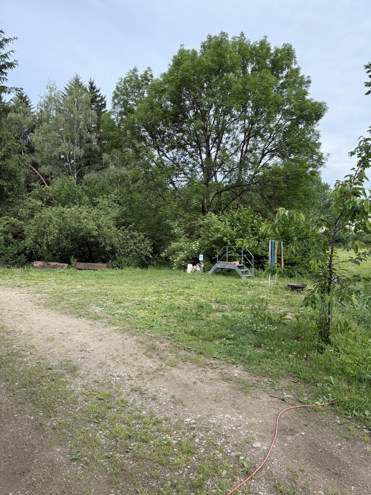 IMG_1310.jpeg