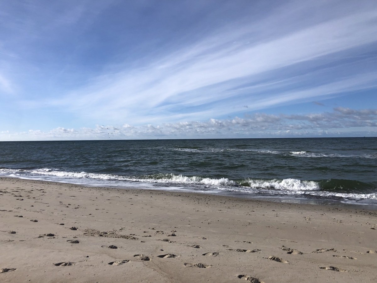 IMG_4382.jpeg