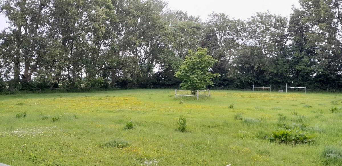 20260607_112911.jpg