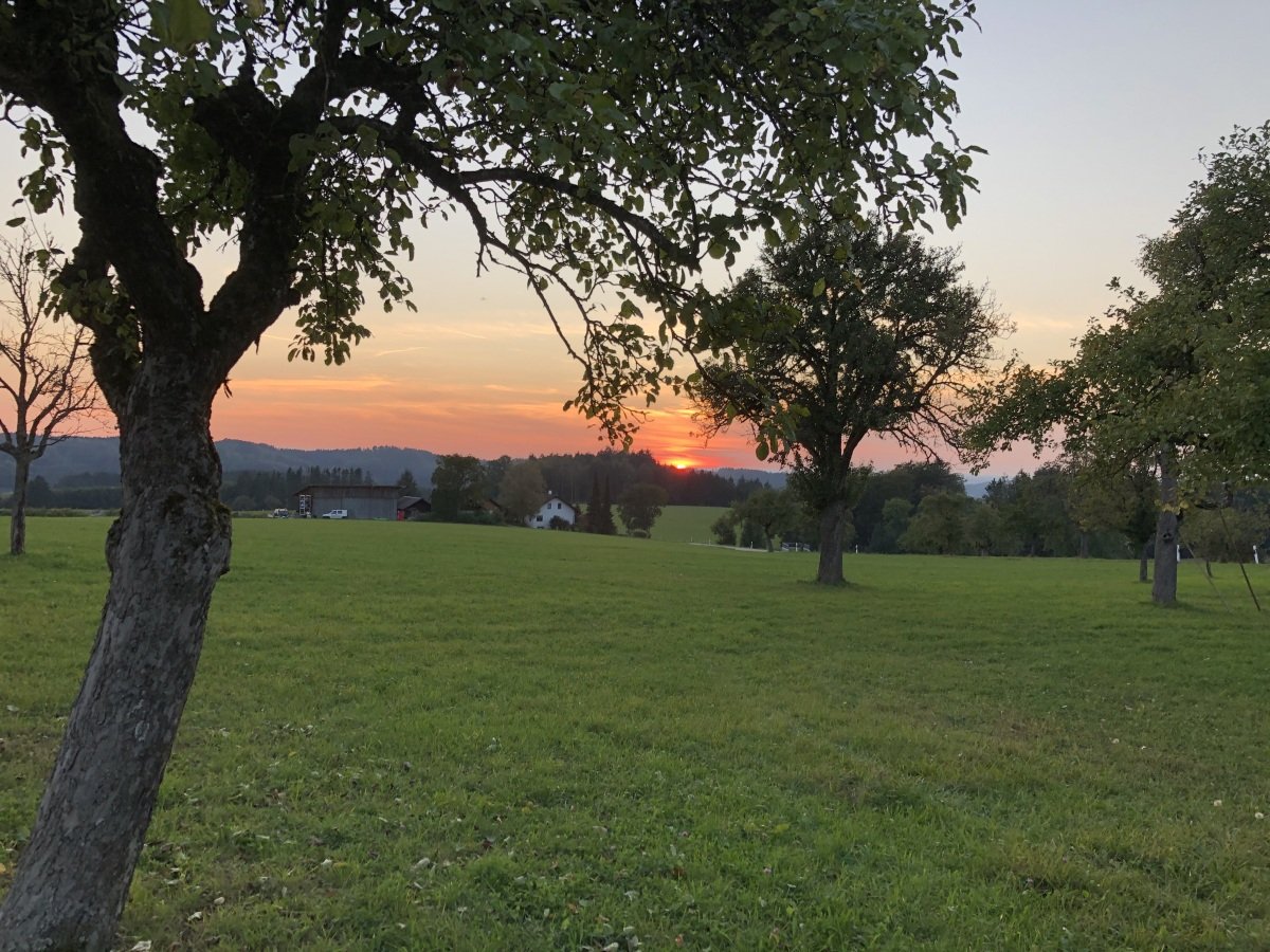 IMG_0367.jpeg