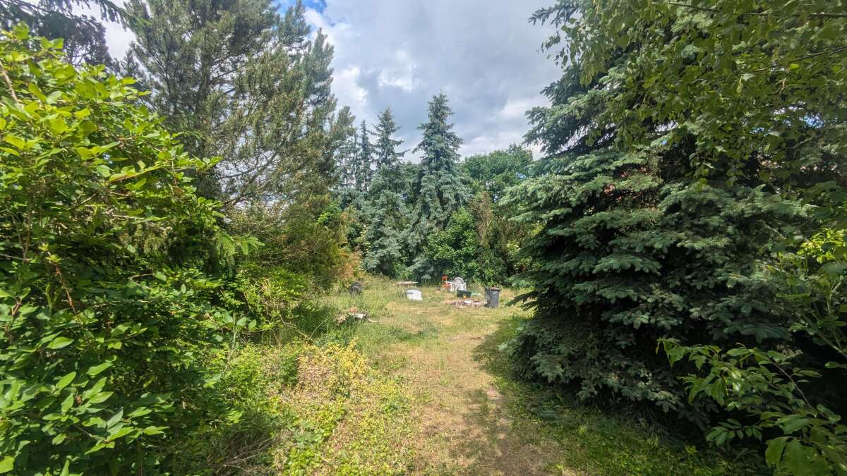 PXL_20260611_100709865.jpg