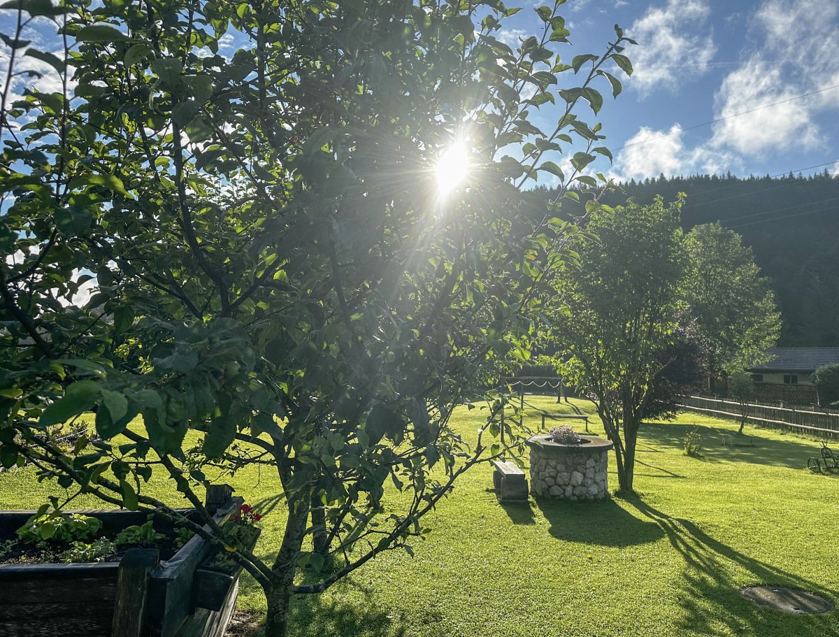 Garten