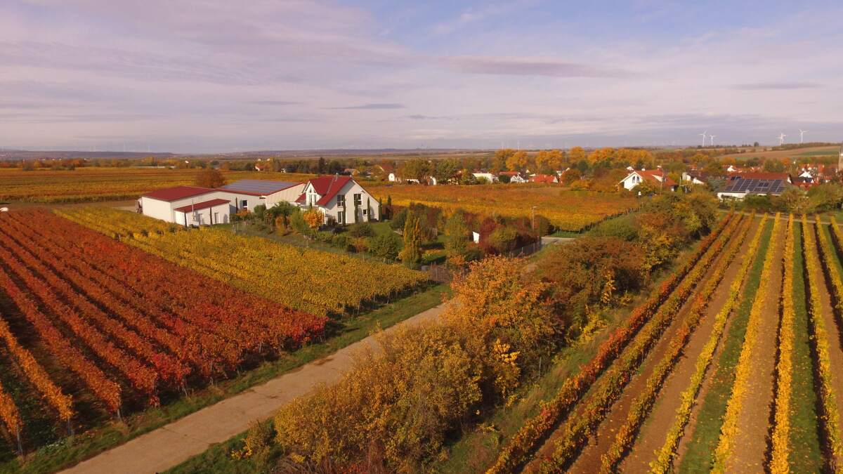Weingut Herbst.jpg