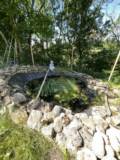 Naturteich
