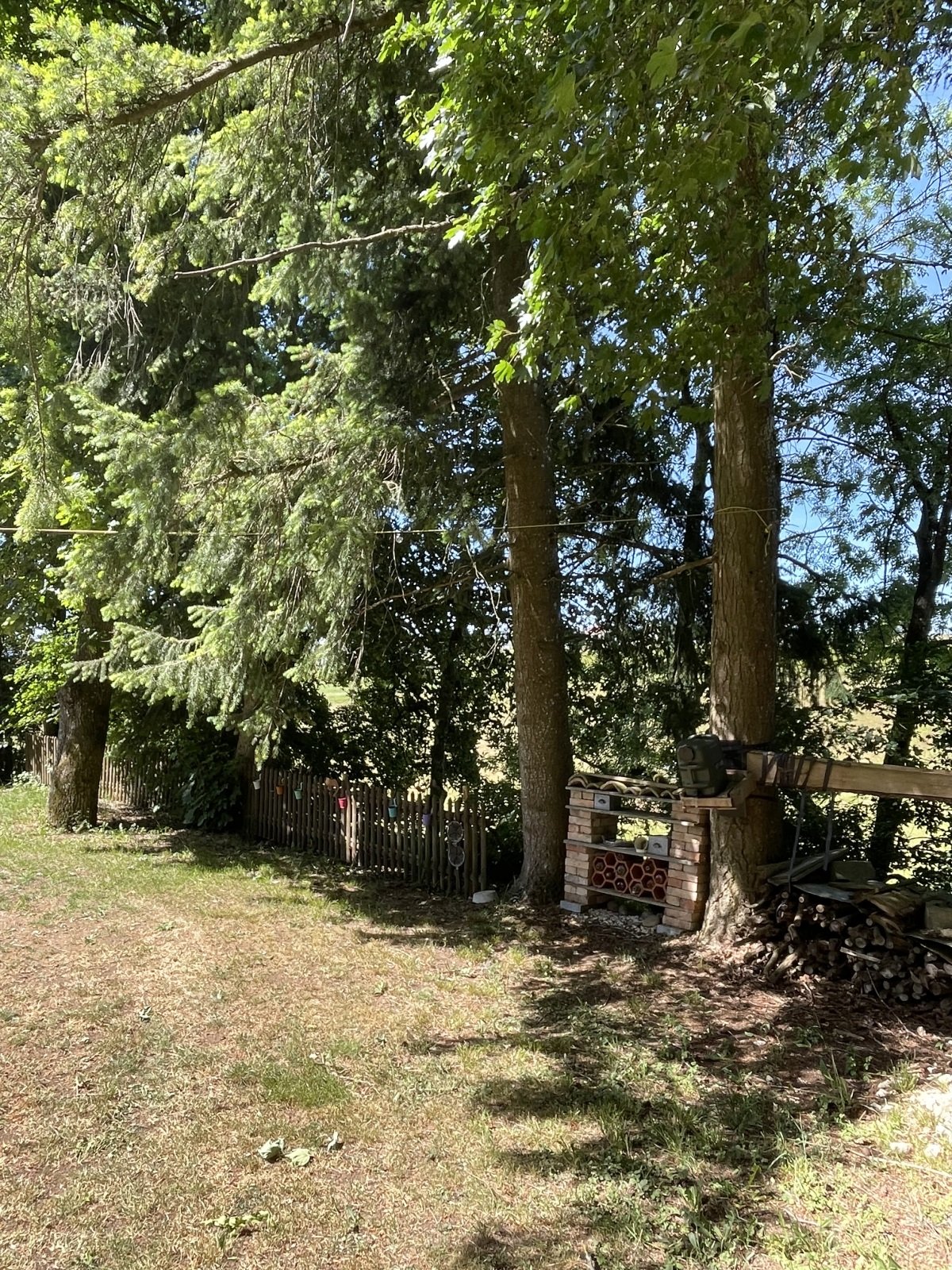 IMG_1884.jpeg