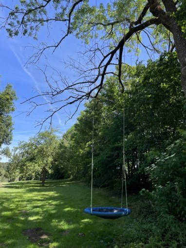 Nestschaukel