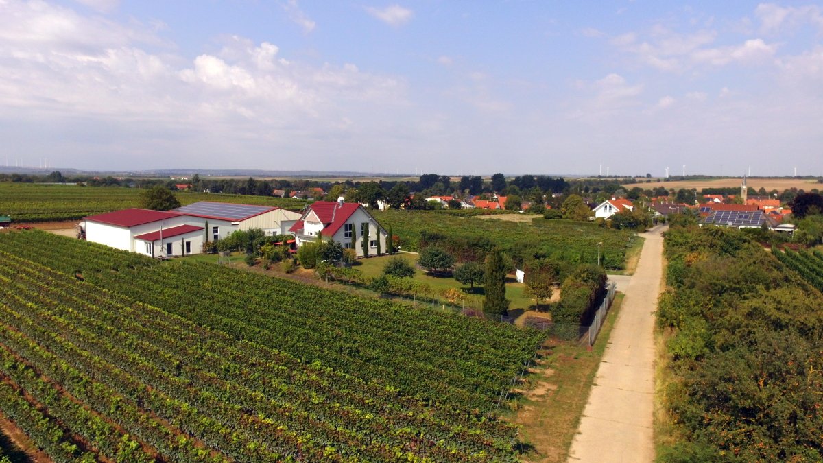 DJI_0064.JPG