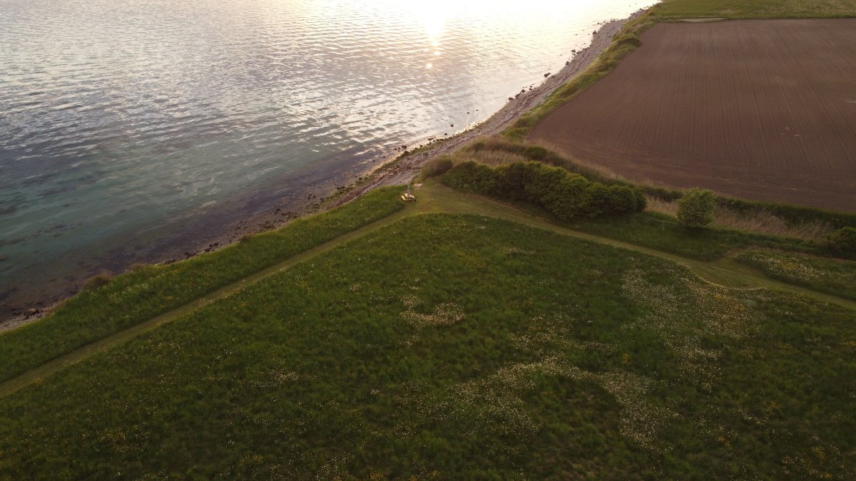 DJI_0154