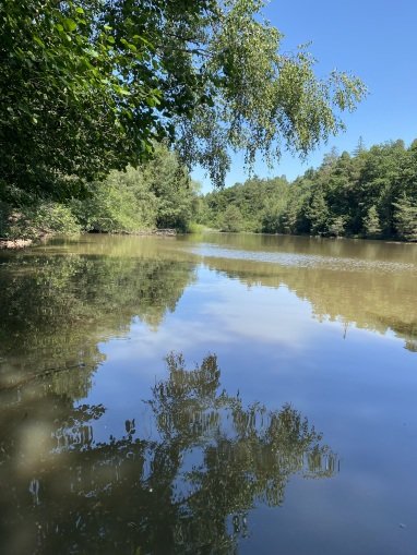 Schöner naturbelassener Waldsee zum Schwimmen